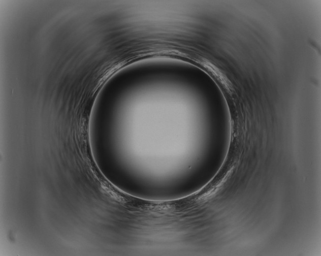 X0000095541001200712141520