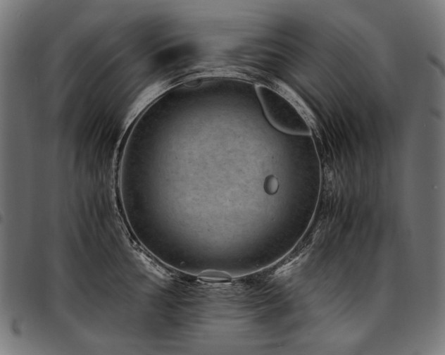 X0000095541002200712141520