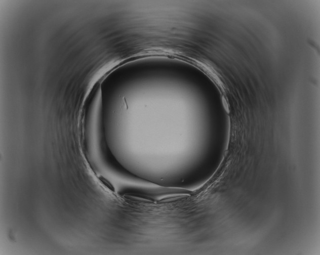 X0000095541003200712141520