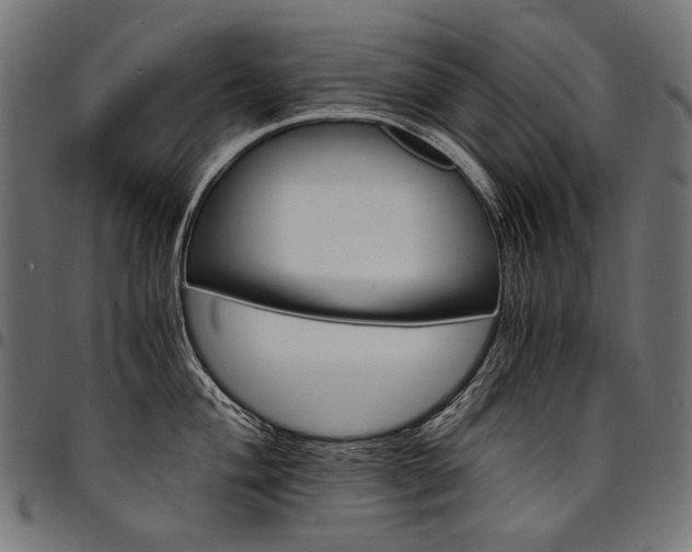 X0000095541004200712141520