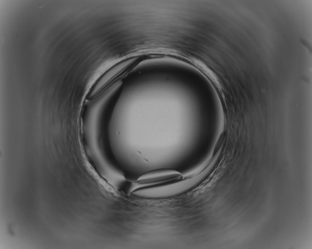 X0000095541005200712141520