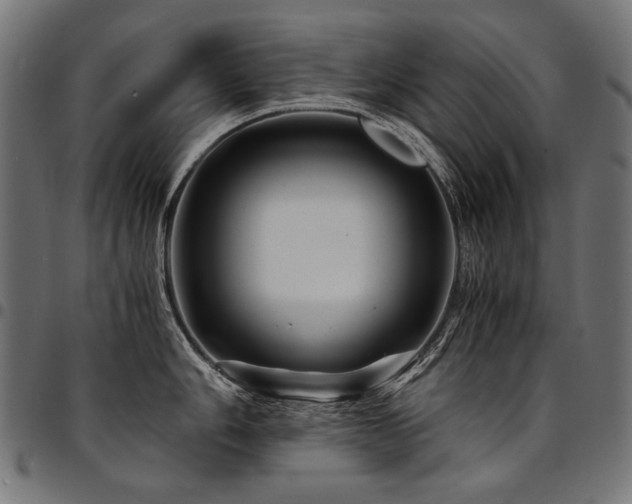 X0000095541006200712141520