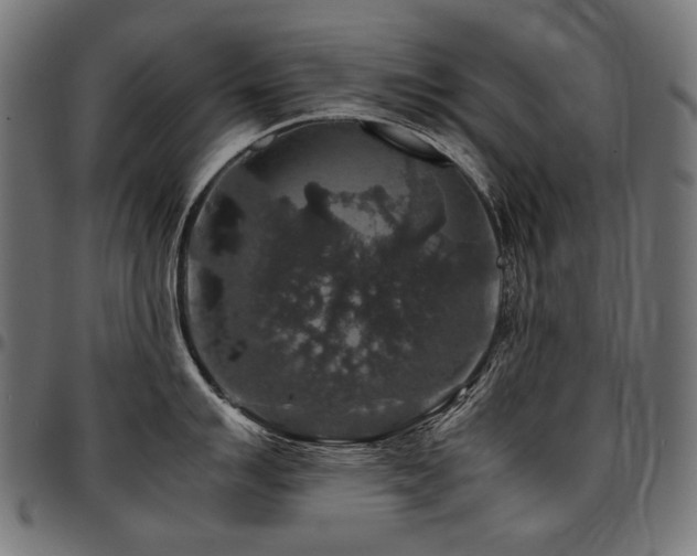 X0000095541007200712141520