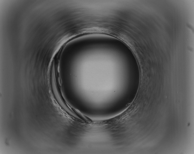 X0000095541008200712141520