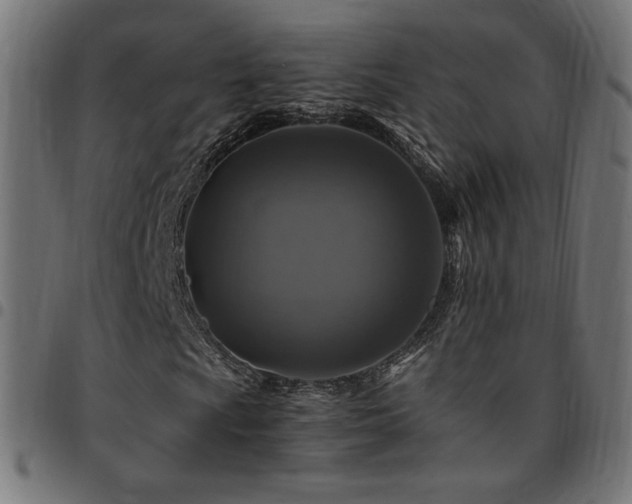 X0000095541009200712141520