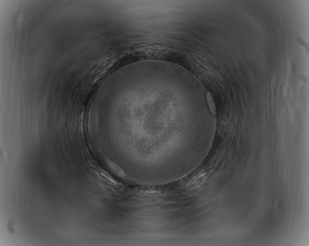 X0000095541010200712141520