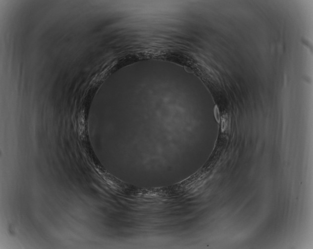 X0000095541011200712141520