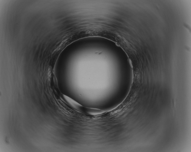 X0000095541012200712141520