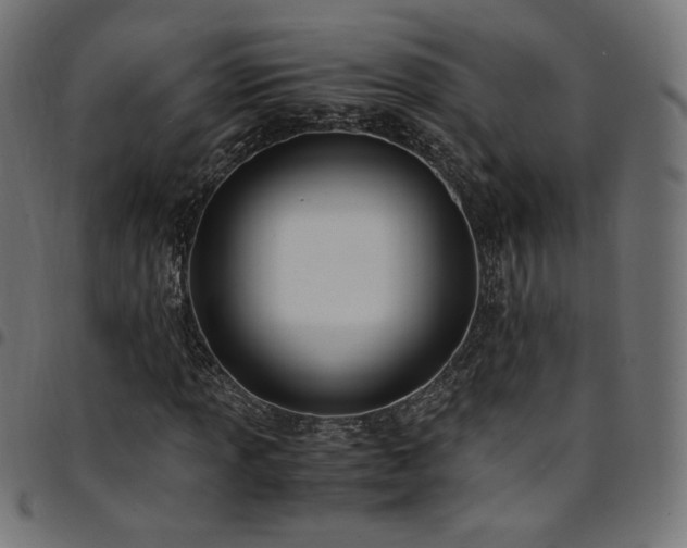 X0000095541013200712141520