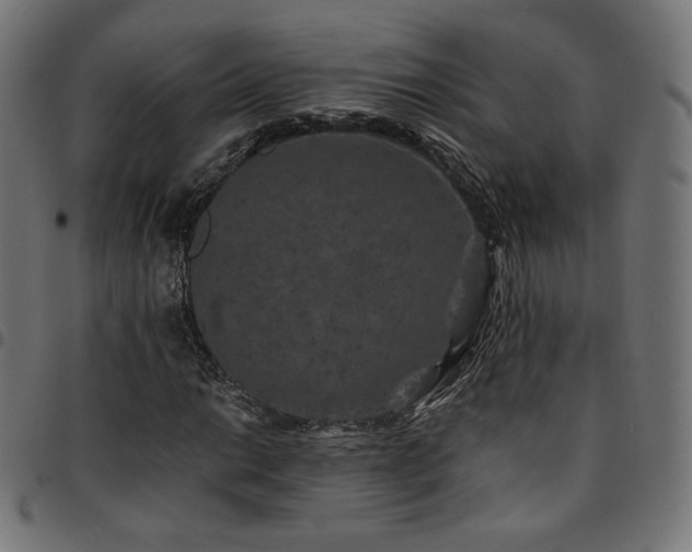 X0000095541014200712141520