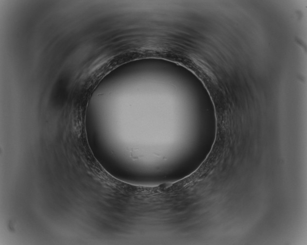 X0000095541015200712141520