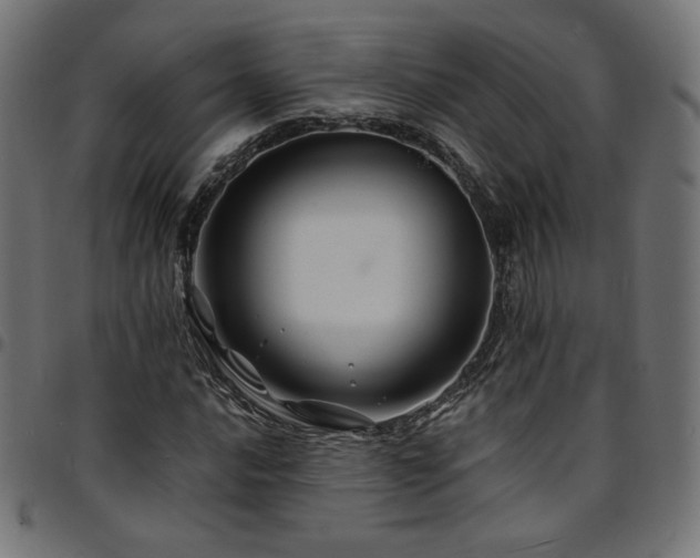 X0000095541016200712141520