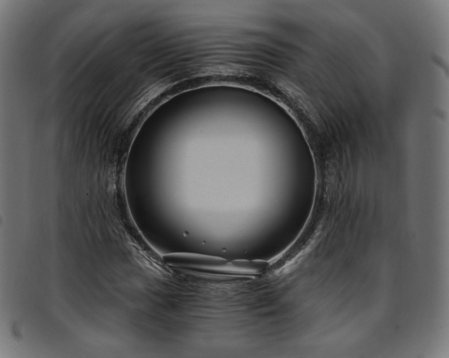 X0000095541017200712141520