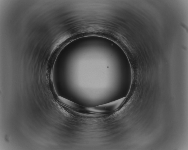 X0000095541018200712141520