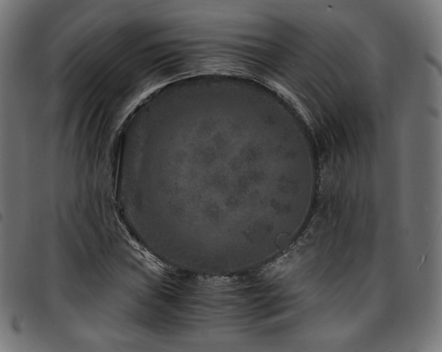 X0000095541019200712141520