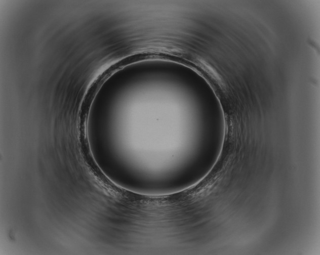 X0000095541020200712141520