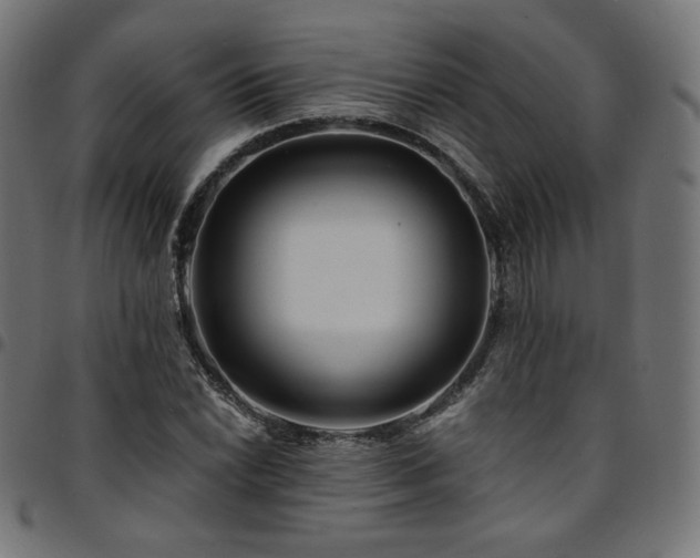 X0000095541022200712141520