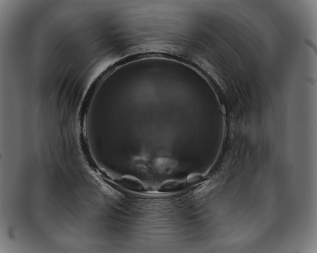 X0000095541024200712141520