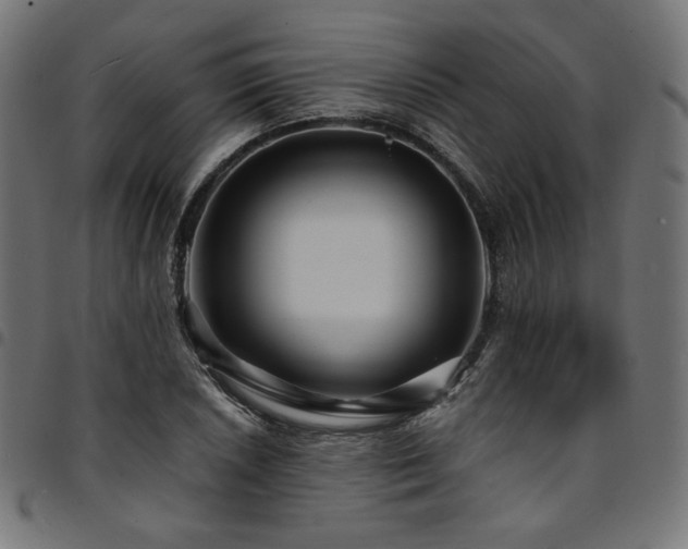 X0000095541026200712141520