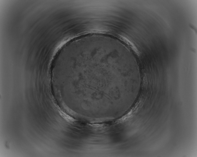 X0000095541027200712141520