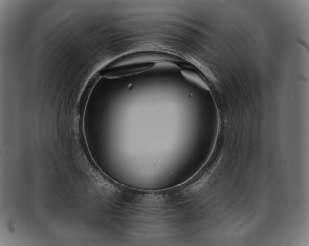 X0000095541029200712141520