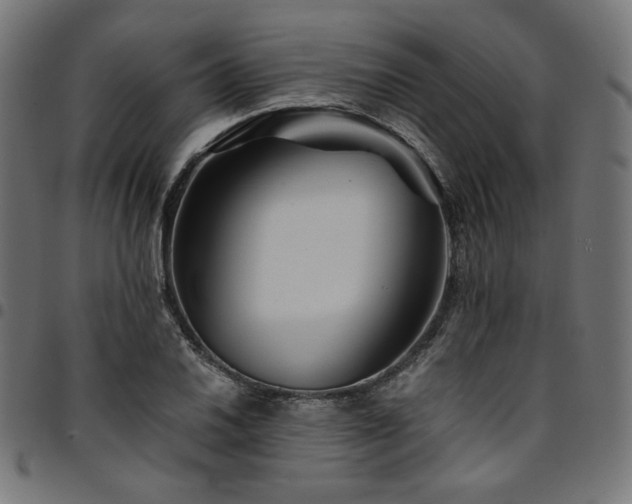 X0000095541030200712141520