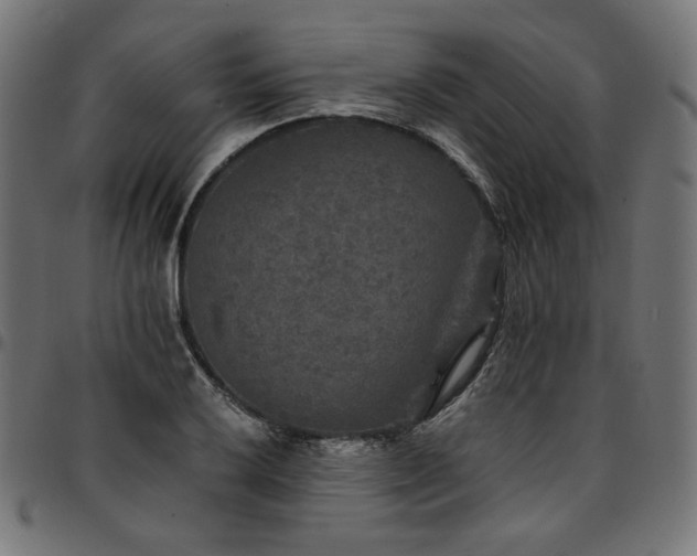 X0000095541032200712141520