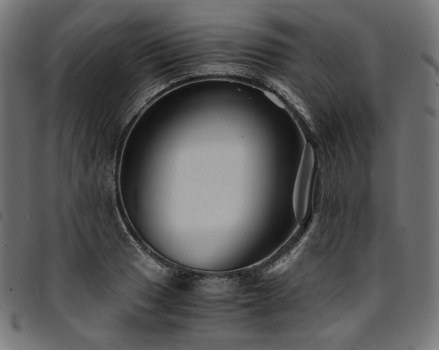 X0000095541033200712141520