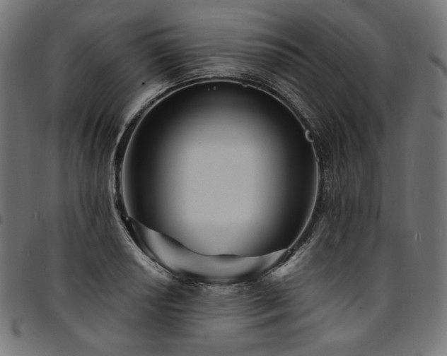 X0000095541034200712141520