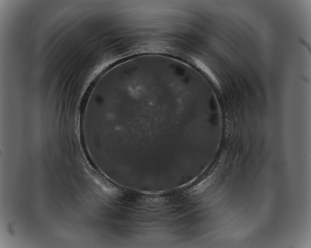 X0000095541035200712141520