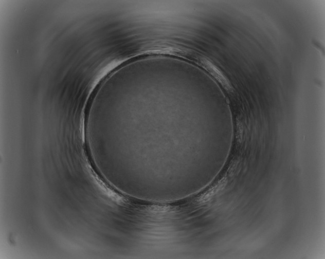 X0000095541036200712141520