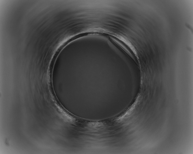 X0000095541037200712141520