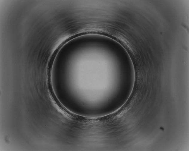 X0000095541038200712141520