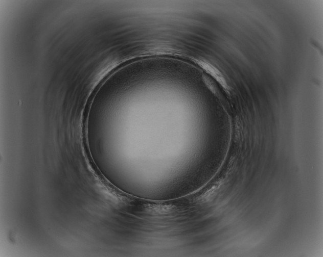 X0000095541039200712141520