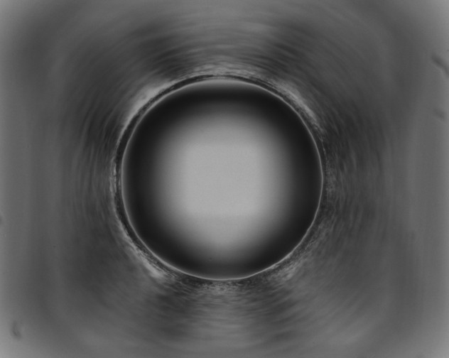 X0000095541040200712141520