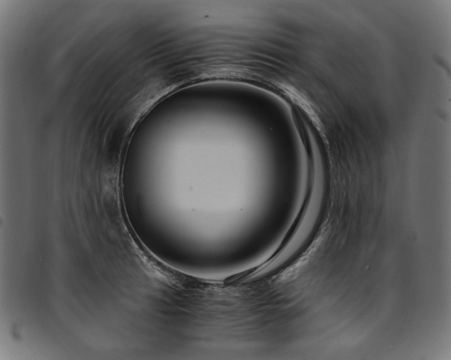 X0000095541041200712141520