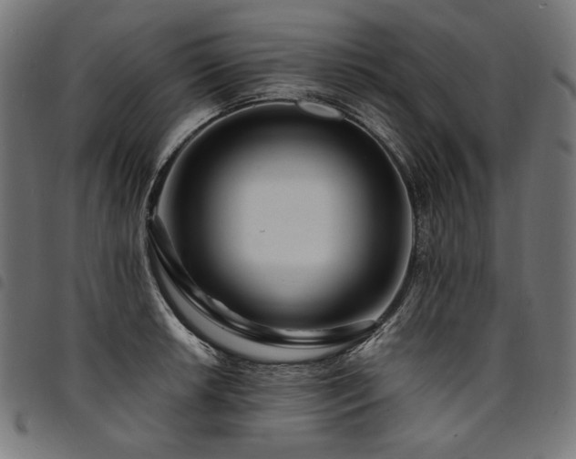 X0000095541042200712141520