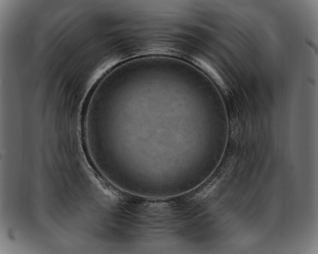 X0000095541043200712141520