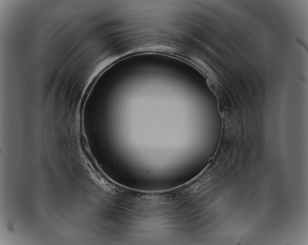 X0000095541044200712141520