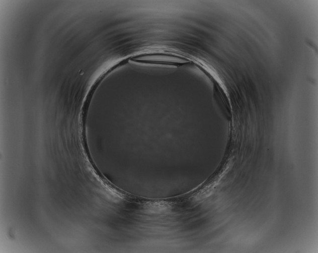 X0000095541045200712141520