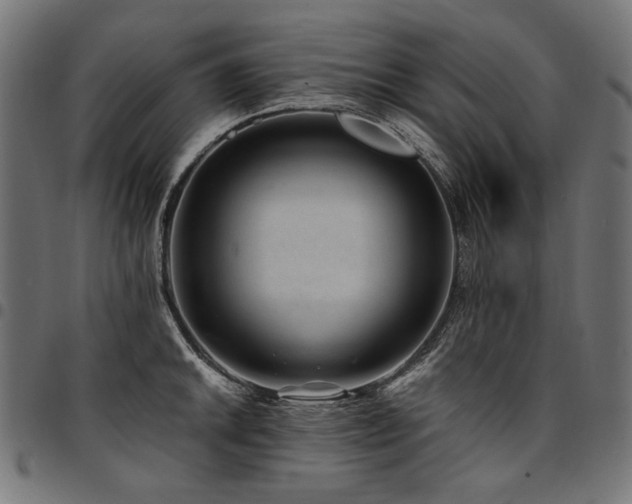 X0000095541046200712141520