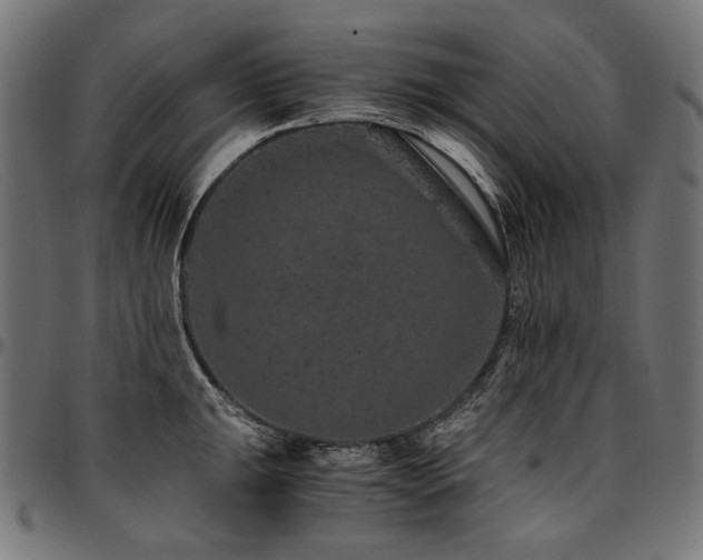 X0000095541047200712141520