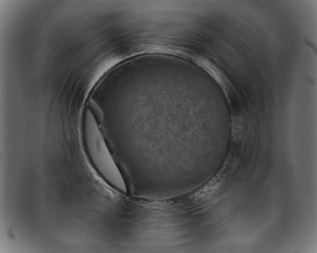 X0000095541048200712141520