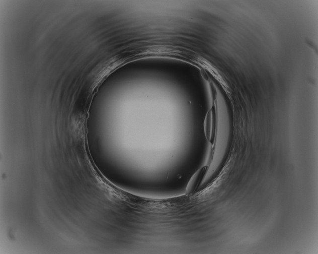 X0000095541049200712141520