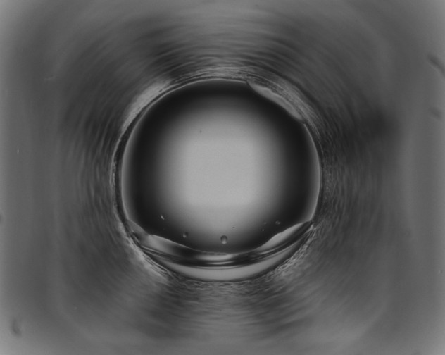 X0000095541050200712141520