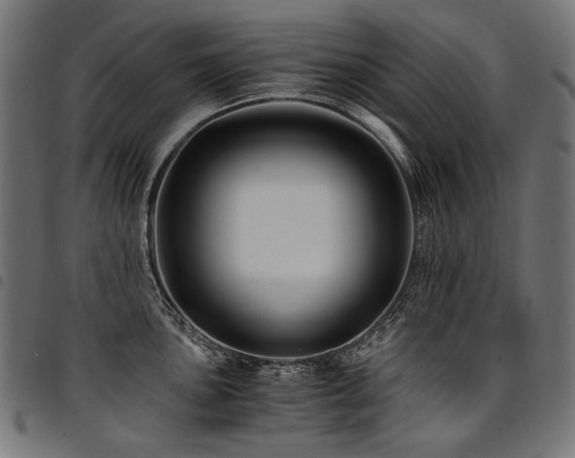 X0000095541051200712141520