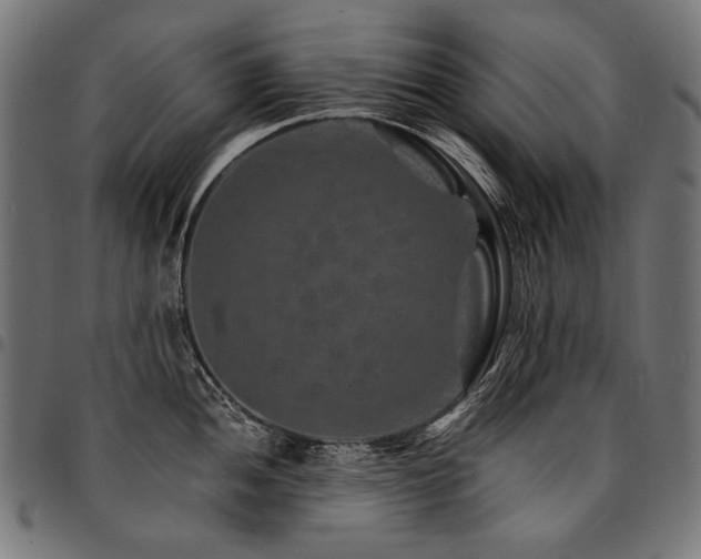 X0000095541052200712141520