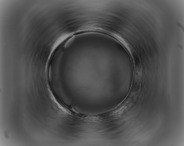 X0000095541053200712141520