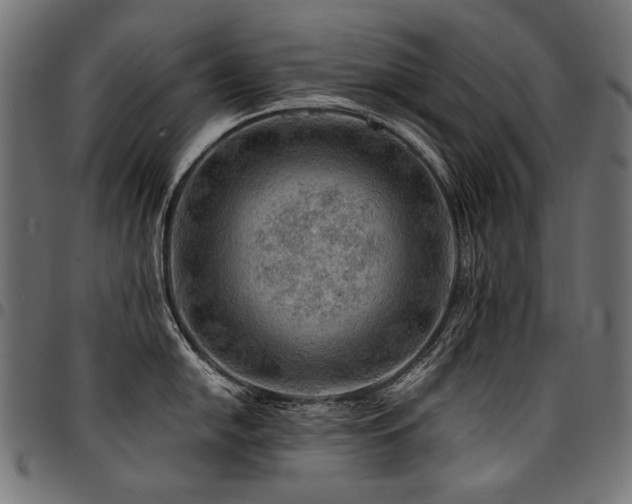 X0000095541054200712141520