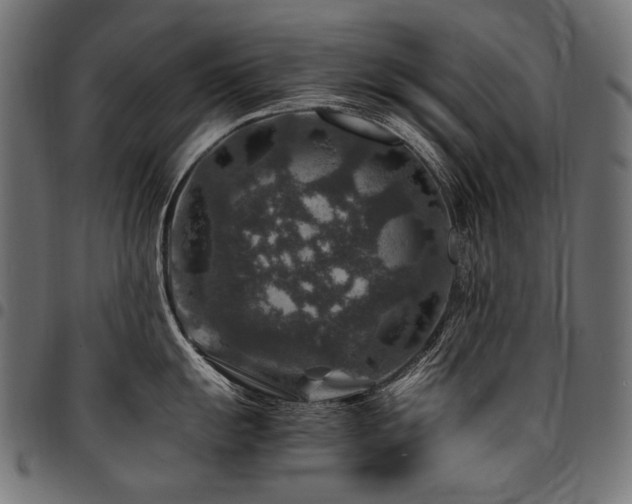 X0000095541055200712141520